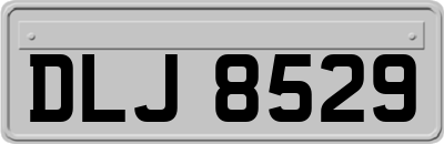 DLJ8529