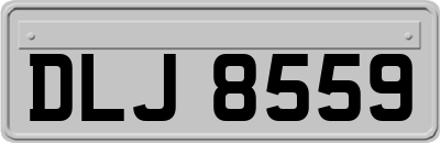 DLJ8559