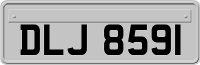 DLJ8591