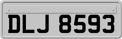 DLJ8593