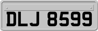 DLJ8599