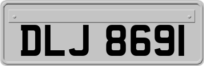 DLJ8691