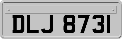 DLJ8731