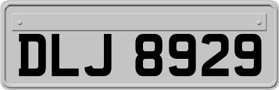 DLJ8929