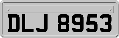 DLJ8953