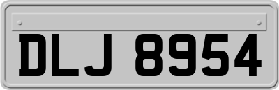 DLJ8954