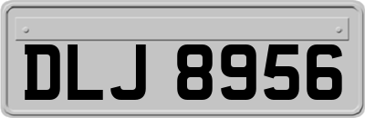DLJ8956