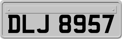 DLJ8957