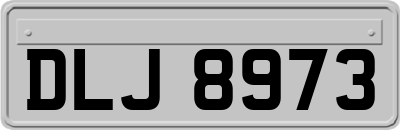 DLJ8973