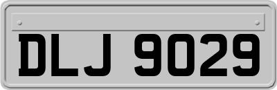 DLJ9029