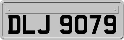 DLJ9079