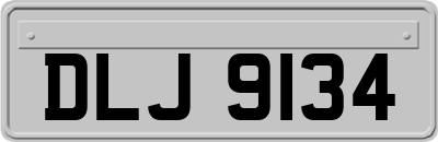 DLJ9134