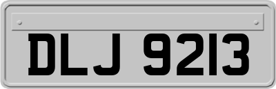 DLJ9213