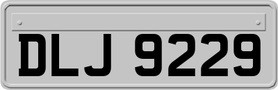 DLJ9229