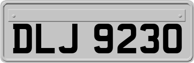 DLJ9230
