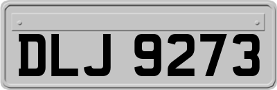 DLJ9273