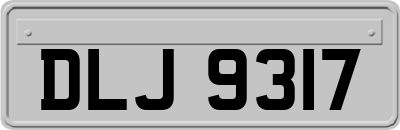 DLJ9317