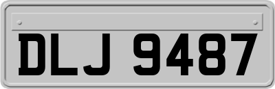 DLJ9487