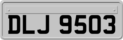 DLJ9503
