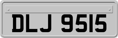 DLJ9515