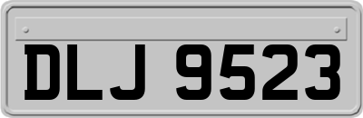 DLJ9523