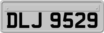 DLJ9529