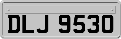 DLJ9530