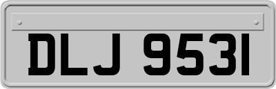 DLJ9531
