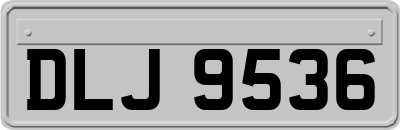 DLJ9536
