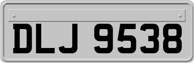 DLJ9538
