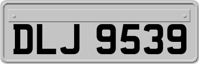 DLJ9539