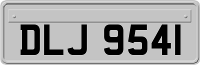 DLJ9541