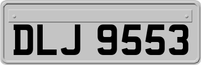 DLJ9553