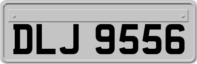 DLJ9556