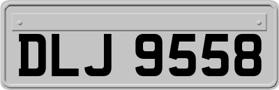 DLJ9558