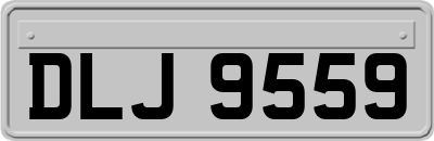 DLJ9559