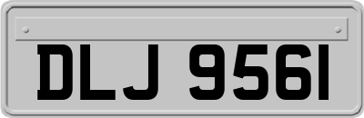 DLJ9561