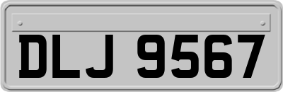 DLJ9567