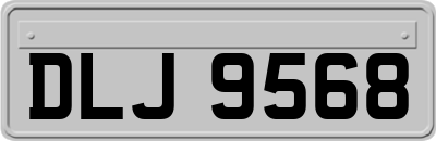 DLJ9568