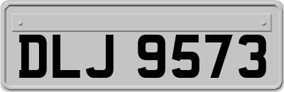 DLJ9573
