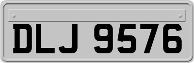 DLJ9576