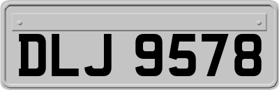 DLJ9578