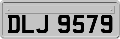 DLJ9579