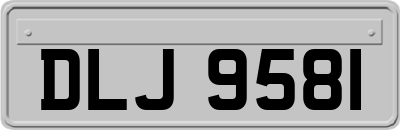DLJ9581