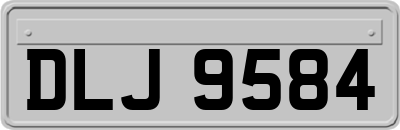 DLJ9584