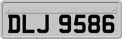 DLJ9586