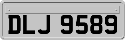 DLJ9589