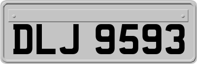DLJ9593