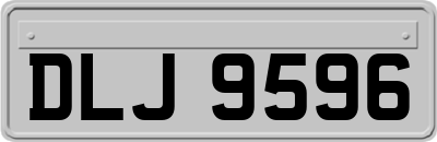 DLJ9596
