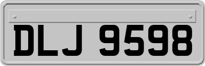 DLJ9598